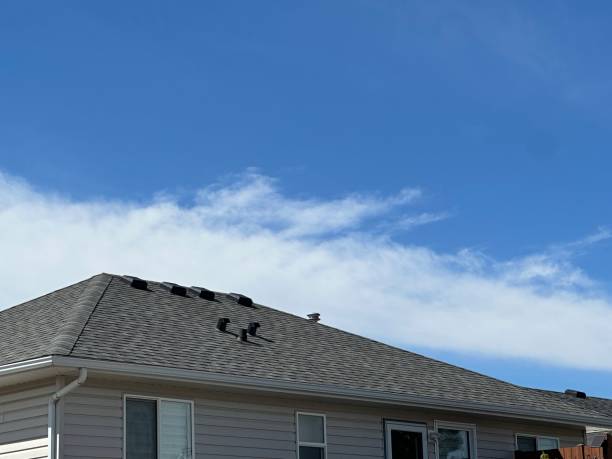 Best Asphalt Shingles Roofing  in Great Neck, NY